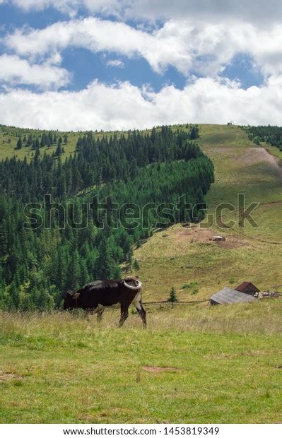 Peisaje Romania Best Foto Maramures Stock Photo 1453819349 Shutterstock