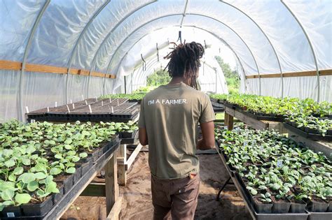 Why You Should Practice Urban Agriculture Business Africa Online