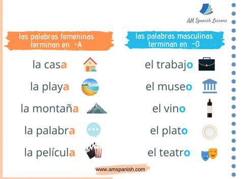 7 Rules To Learn The Gender In Spanish Am Spanish Lessons