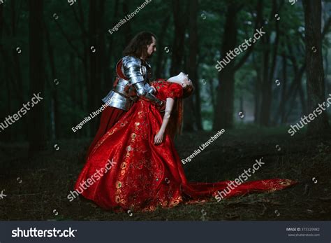Medieval Knight Lady Stock Photo 373329982 Shutterstock