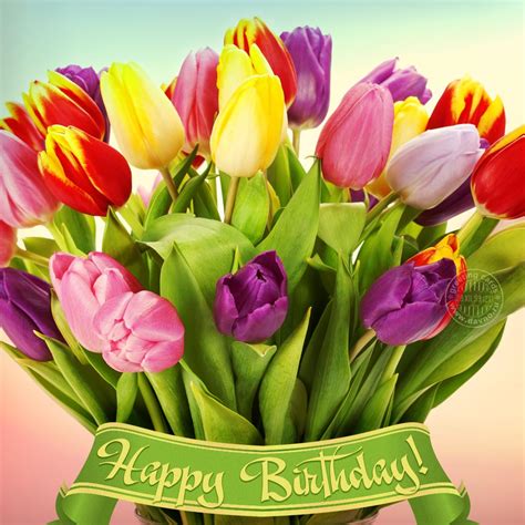 Birthday Card With Tulips — Download On