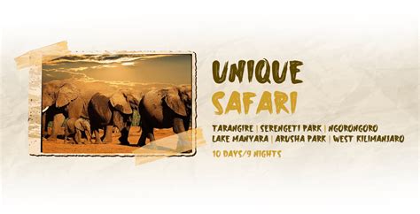 Unique Safari 10 Days Wild Root Safaris