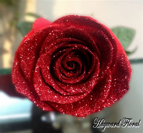 Glitter Tip Roses 20