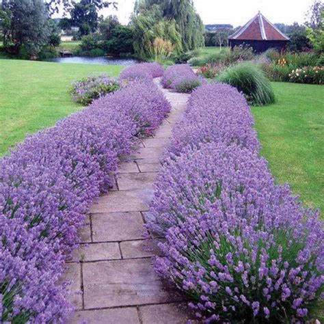 Reasons To Add Herbs To Your Garden This Year Great Garden Plants Blog