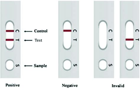 Lateral Flow Test Positive Or Negative How To Do A Lateral Flow Test