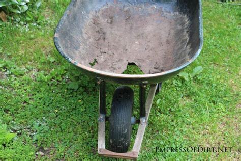 Make A Strawberry Planter In A Wheelbarrow Empress Of Dirt