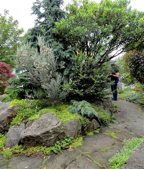 The Portland Garden Conservancy Tour 2014, The Melody Garden | Portland garden, Garden, Garden tours
