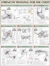 Photos of Chest Workout