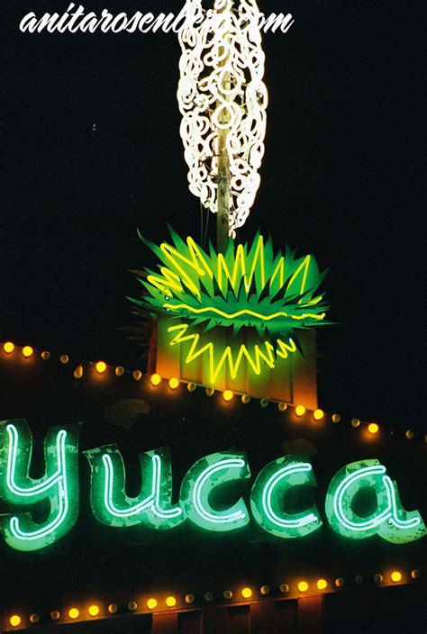 Yucca In Las Vegas 90s Copyright Photo By Las Vegas