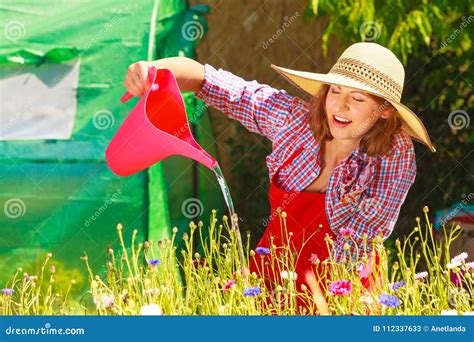 Woman Watering Flowers In Garden Stock Image Image Of Work Watering