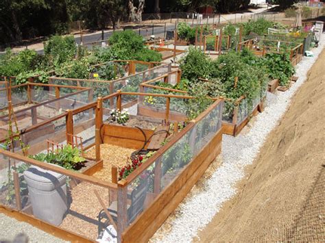 Community Garden Plots