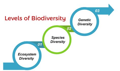 Levels Of Biodiversity Javatpoint