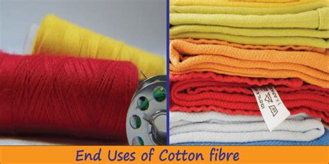 Definition Of Cotton Types And End Uses Of Cotton Textile Apex
