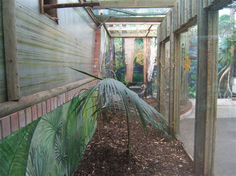 View Of The Empty Toucan Enclosure Zoochat