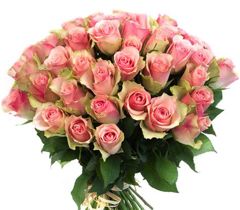 Compositions Belissimo Bouquet De 50 Roses Roses Livraison De
