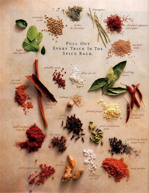 Pretty Spice Art Spices Spices And Herbs Herbs And Spices