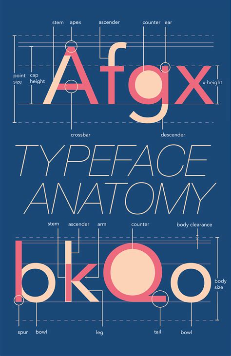 Anatomy Of A Typeface Qusttrainer