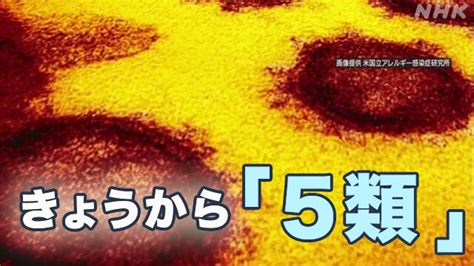 【詳しく】新型コロナ 5月8日から「5類」に移行 何が変わるnhk