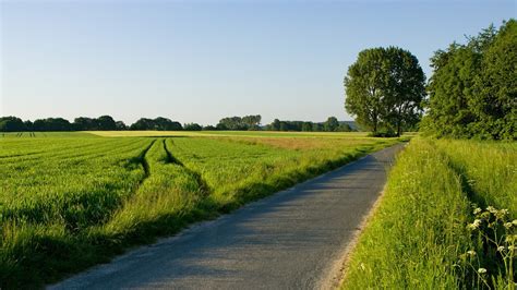 Beautiful Green Urban Landscape Hd Wallpapers Desktop