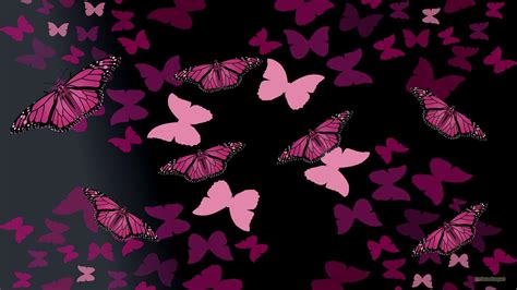 Neon Pink Butterfly Wallpapers Top Free Neon Pink Butterfly