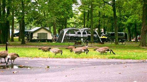 Campground amenities include drinking water, flush toilets, hot showers ($), and a dump station. East Harbor State Park Campground - Parks - Lakeside ...