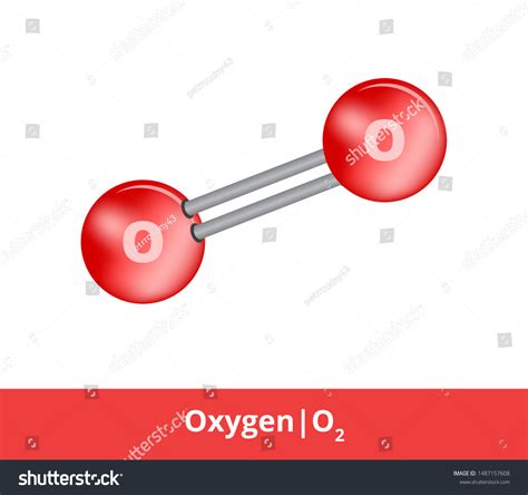 Oxygen Molecule
