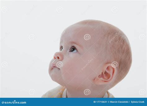 Baby Looking Up Stock Image Image Of Portrait Eyes 17715631