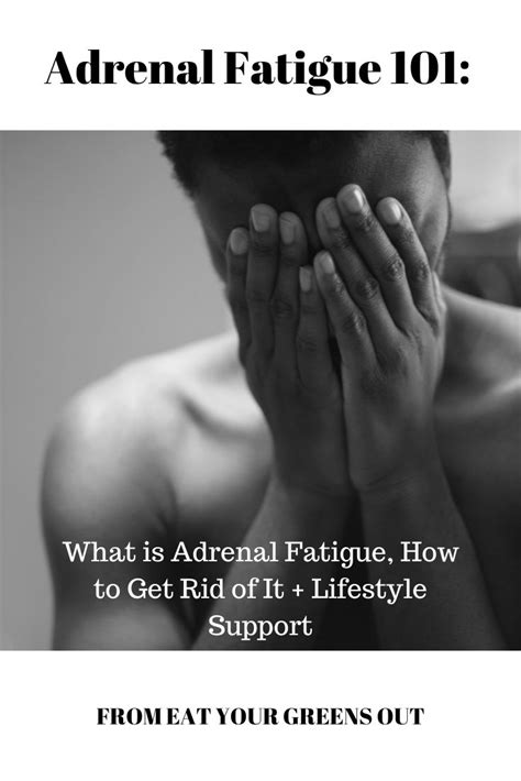 Adrenal Fatigue 101 What Is Adrenal Fatigue Adrenal Fatigue Adrenals