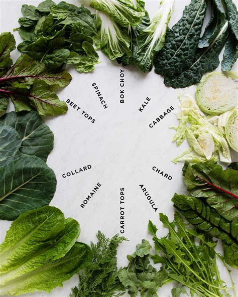 The Leafy Greens Guide Not All Leafy Greens Are The Same Juice Fast