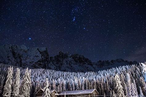 Hd Wallpaper Pine Trees Covered With Snow Under Starry Sky Brown