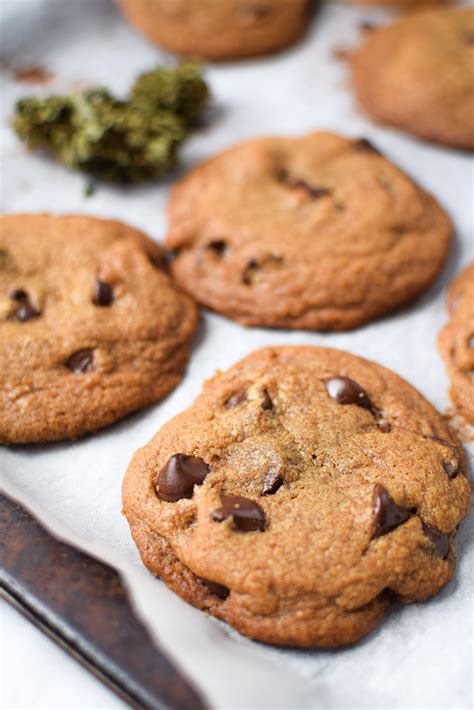 Delicious Cannabis Infused Chocolate Chip Cookies Antropologianutricion