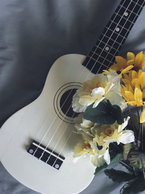 Pin By Taylor Towle On My Aesthetic With Images Ukulele Photography