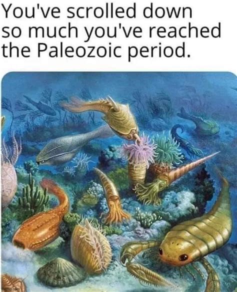 Image Tagged In Scrolled Down To Paleozoic Period Imgflip