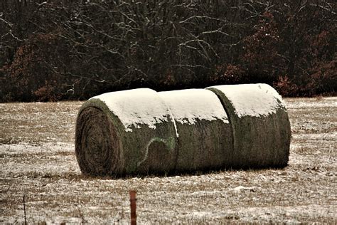 Snow Covered Round Hay Bales Free Stock Photo Public Domain Pictures