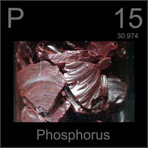 Violet Phosphorus A Sample Of The Element Phosphorus In The Periodic Table