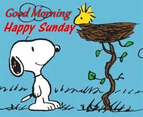 Good Morning Happy Sunday Snoopy Quote Pictures Photos And Images For
