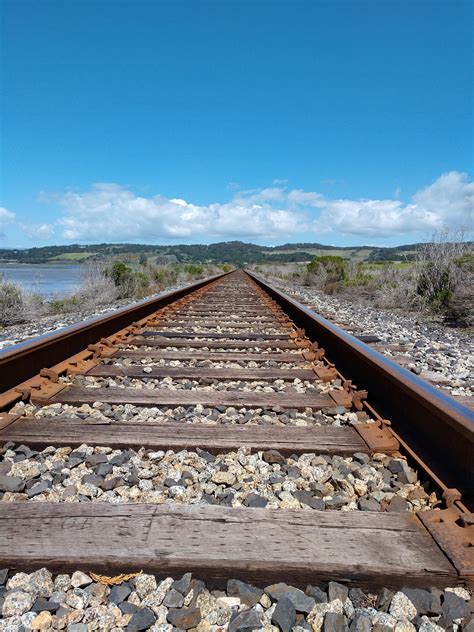 Train tracks through the Elkhorn Slough in Moss Landing, California : pics