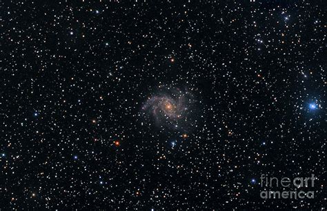 Ngc 6946 And Ngc 6939 Photograph By John Chumack Fine Art America