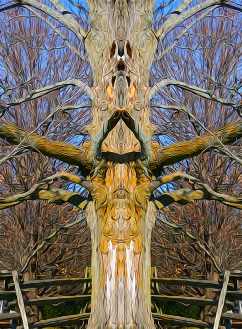 Spirit Tree Art The Inner Dimensions Of Tree Spirits