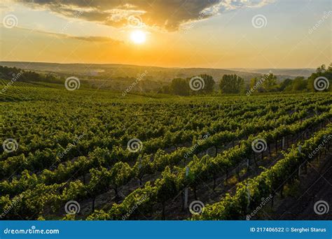 Beautiful Sunset Over Green Hills With Cultivated Vines Cricova