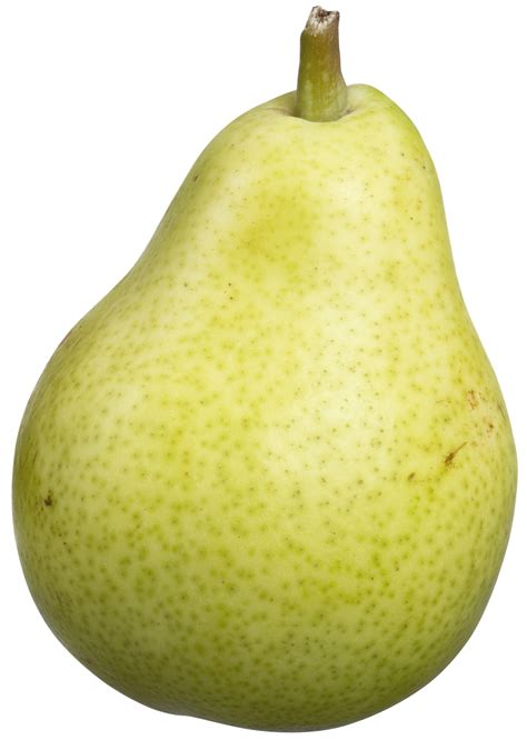 Bartlett Pear Png Image Purepng Free Transparent Cc0 Png Image Library