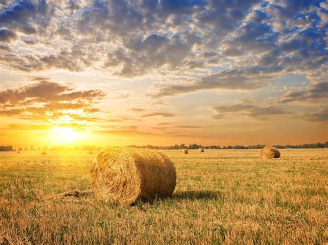 Farm Field Grass Hay Sunset Clouds Wallpaper Nature And Landscape