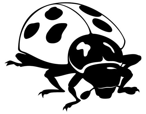 Ladybug Black And White Cartoon Clipart Best Images
