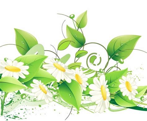 Free Vector Floral File Page 5