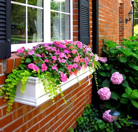 Lovely Window Boxes To Beautify Your House Exterior