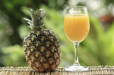 But can cats eat apples? Pineapple Juice Myths | LIVESTRONG.COM