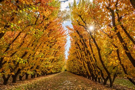 7 Amazing Autumn Locations In The South Island NZ Find The Best