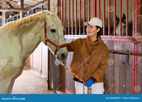 Smiling Asian Woman Stable Keeper Stroking White Purebred Horse Stock
