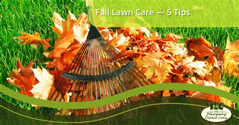 Fall Lawn Care—5 Tips Tlc Nursery And Outdoor Living