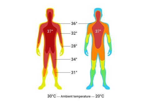 Body Temperature Normal Ranges And How To Measure Cosinuss°
